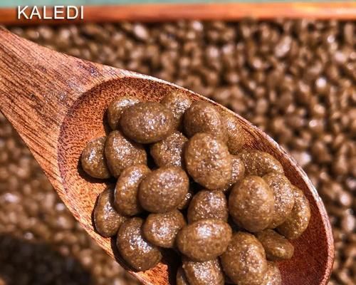 博美宝宝每日饮食指南——35克狗粮，健康无忧！（健康、营养、口感三位一体，一份狗粮，一份幸福！）