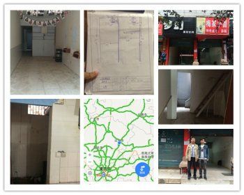 圣宠宠物四川达州连锁店选