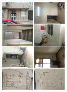 圣宠宠物（北京大兴龙河路