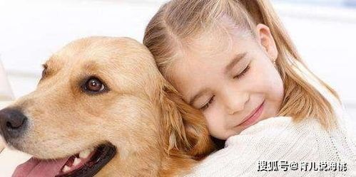 宠物麻药哪里买？安全指南来啦！