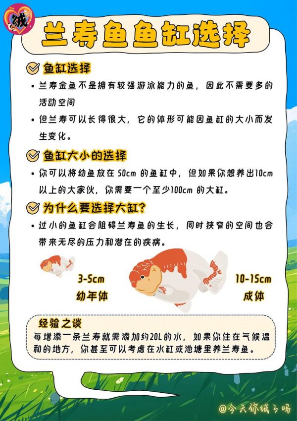 金鱼可以用凉水养吗_冷水鱼，好养耐寒，南方新手优选