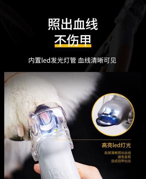 狗指甲出血应急处理方法（用药正确止血保护狗狗爪子健康）