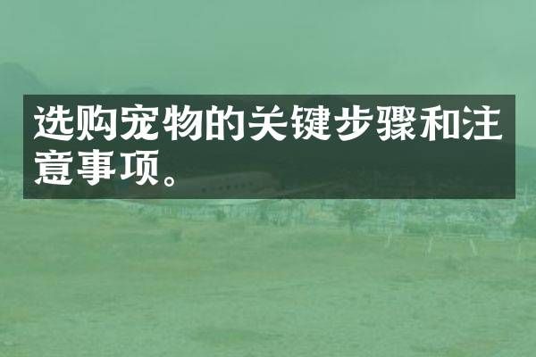 选购宠物的关键步骤和注意事项。
