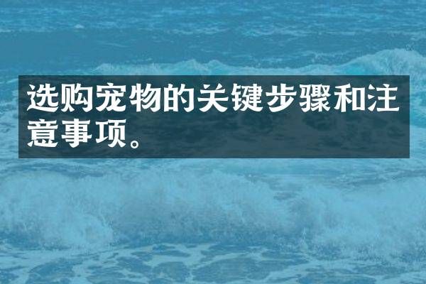 选购宠物的关键步骤和注意事项。