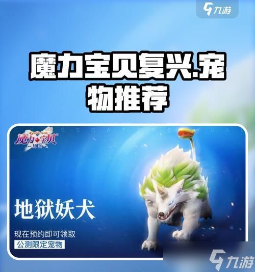 魔力宝贝起源宠物捕捉技巧？捕捉宠物的注意事项是什么？