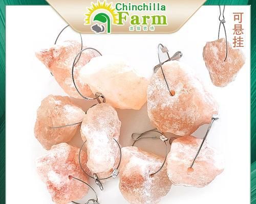 喜马拉雅兔的饲养方法（从适宜的环境到科学的饲料，让兔子健康成长）