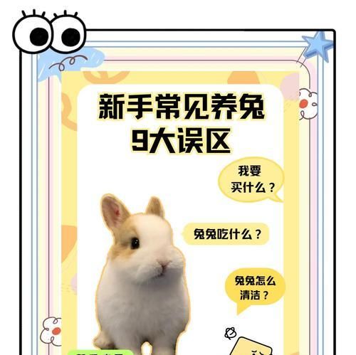 喜马拉雅兔的饲养方法（从适宜的环境到科学的饲料，让兔子健康成长）