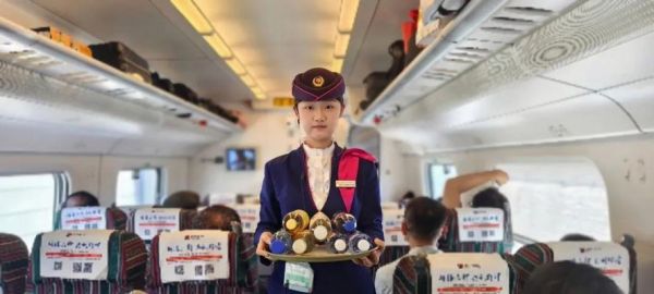 火车怎么戴宠物耳机？佩戴方法和注意事项是什么？ 第2张