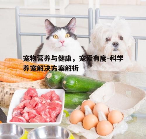 一、宠物饮食的科学搭配