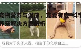 二、宠物锻炼的重要性