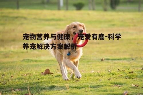 三、情感交流对宠物的影响