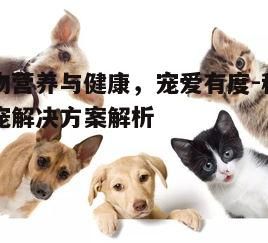 五、宠物行为问题的解决