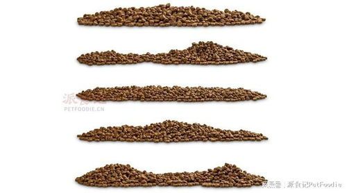 宠物营养均衡饮食方案