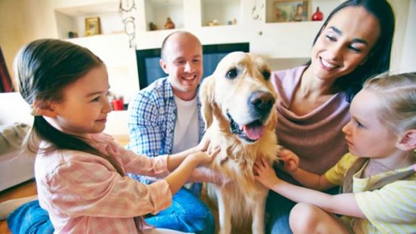 瑞典最新研究发现家里养宠物狗的孩子不易患上哮喘病