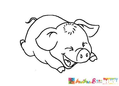 可爱猪简笔画图片内容包含相关动物简笔画栏目里的可爱猪简笔画动物
