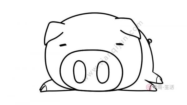 简笔画猪的画法