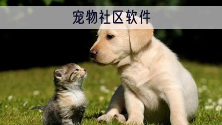 宠物社区app