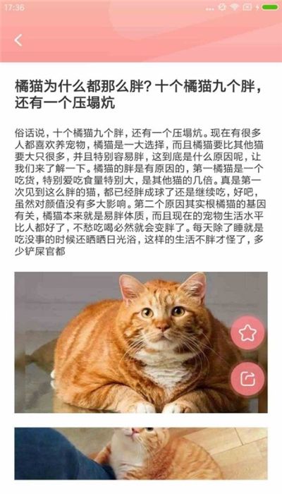 宠物公社（养宠物平台）