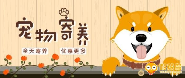 宠物寄养app合集