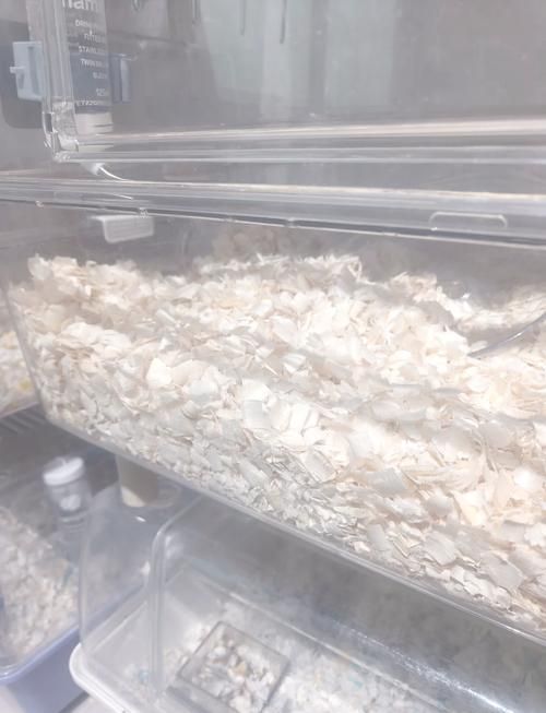 仓鼠浴室如何制作