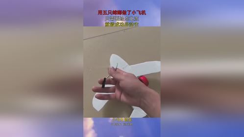 用五只蟑螂做了小飞机，只需要给点电流，就能成功启动它！