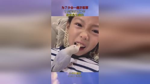 为了少去一趟牙医那，让鹦鹉拔掉牙齿，居然是无痛的！