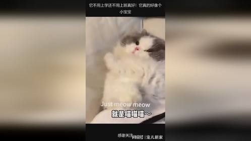 它不用上学还不用上班真好！它真的好像个小宝宝