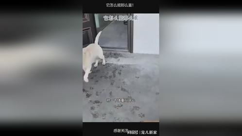 它怎么能那么重！