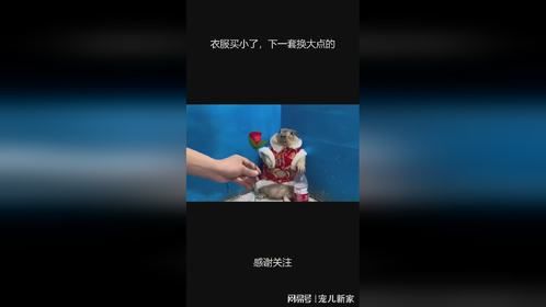 衣服买小了，下一套换大点的