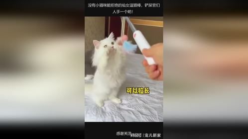 没有小猫咪能拒绝的仙女逗猫棒，铲屎官们人手一个哟！