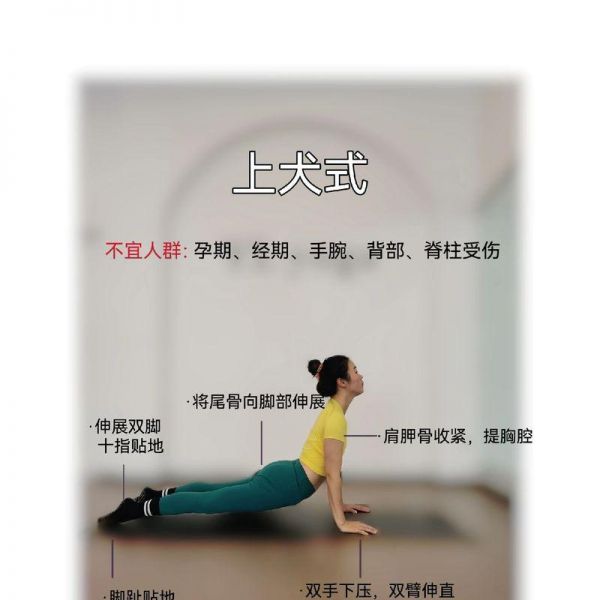 让宠物狗狗舒适度夏，从减肥开始（如何科学合理的减肥让狗狗健康度过夏季）