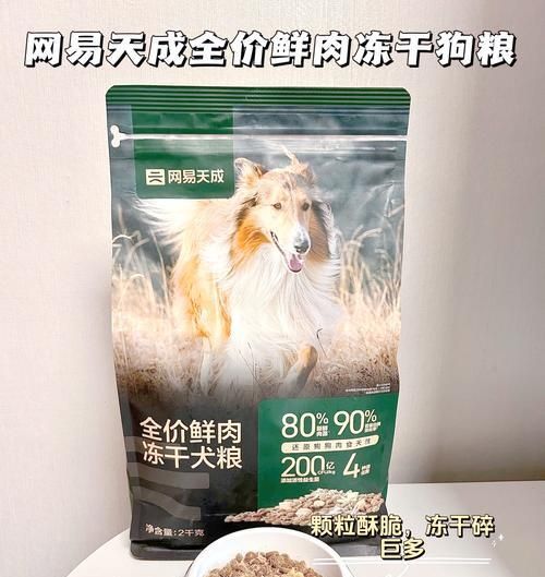 让宠物狗狗舒适度夏，从减肥开始（如何科学合理的减肥让狗狗健康度过夏季）