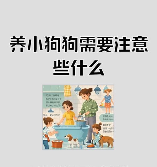 让宠物狗狗舒适度夏，从减肥开始（如何科学合理的减肥让狗狗健康度过夏季）