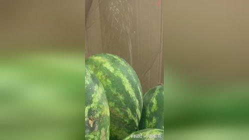 忍不住多看了几遍，这西瓜什么情况，这谁还敢买啊！