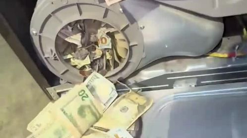 洗衣机里出现的现金