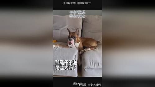 干啥啊这是？图啥啊哥们？