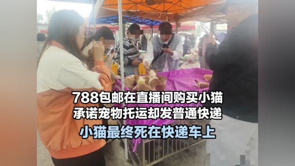 Thumbplayer Poster Plugin Image