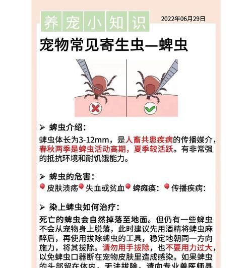 宠物身上的寄生虫（宠物健康的重要保障，科学护理的必要性）