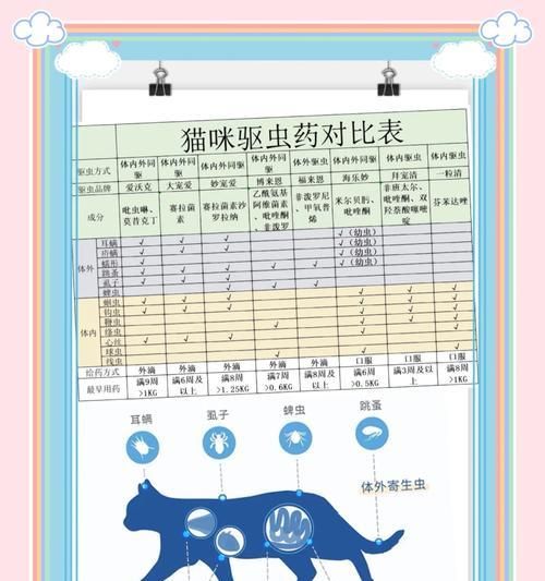 如何给宠物猫进行体外驱虫？（一步一步教你轻松解决宠物猫体外寄生虫问题！）