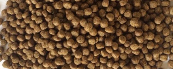 草鱼的饲料配方，利用合适的原材料不同比例来制作混合料