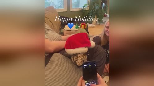 满满的仪式感满满的幸福感 圣诞的100种打开方式 泰加蜥蜴