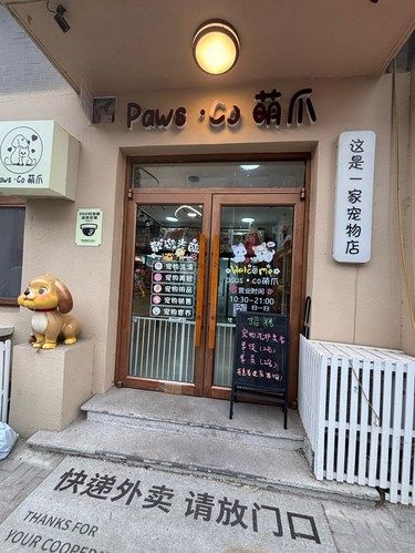 何以解忧,还看我喵星人