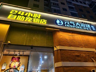 洗个澡变身宠物干洗师