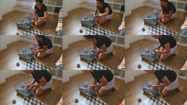 女人在温馨的客厅环境中照顾一只小型宠物啮齿动物，旁边有笼子和宠物用品。