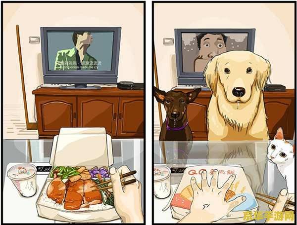 原神宠物大全 原神宠物大揭秘：萌宠伙伴全解析