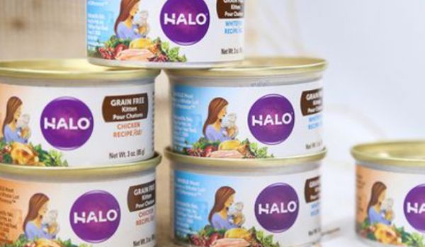 深度解析猫罐头十大品牌排行榜，为猫咪挑选优质美食