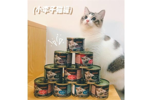 口碑好的猫罐头品牌有哪些？赶紧来看~