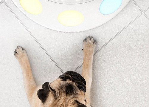 专为狗狗设计的游戏机CleverPet Hub3.jpg