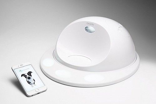 专为狗狗设计的游戏机CleverPet Hub4.jpg