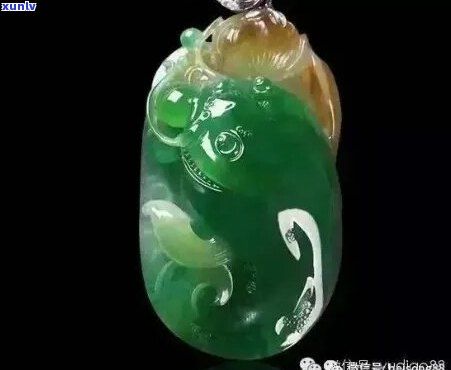 翡翠鱼：品种、饲养 *** 、繁殖技巧及观赏价值全面解析